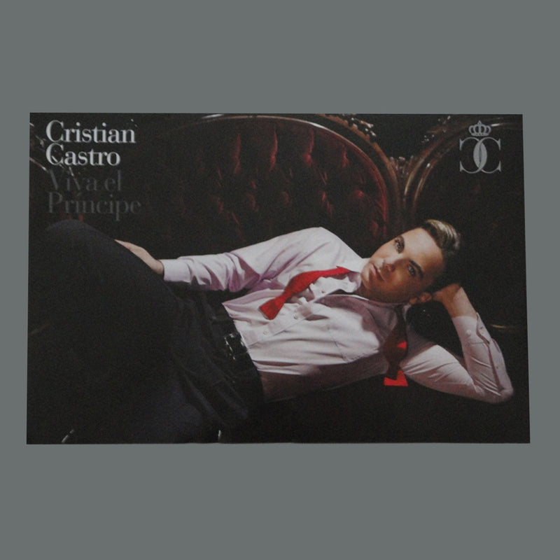 Fotografía del póster oficial de Cristian Castro en formato 12x8, mostrando el diseño artístico completo del Modelo 2.