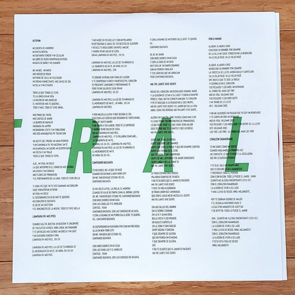 Fotografía de la segunda cara del inserto interior impreso del vinilo con créditos y la tipografía verde que completa la palabra RAL.