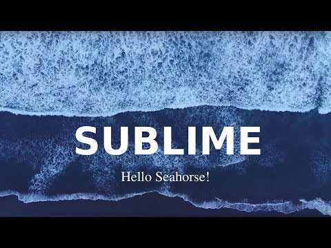 Video promocional oficial integrado de la canción Sublime de Hello Seahorse!, completando los materiales visuales del álbum.
