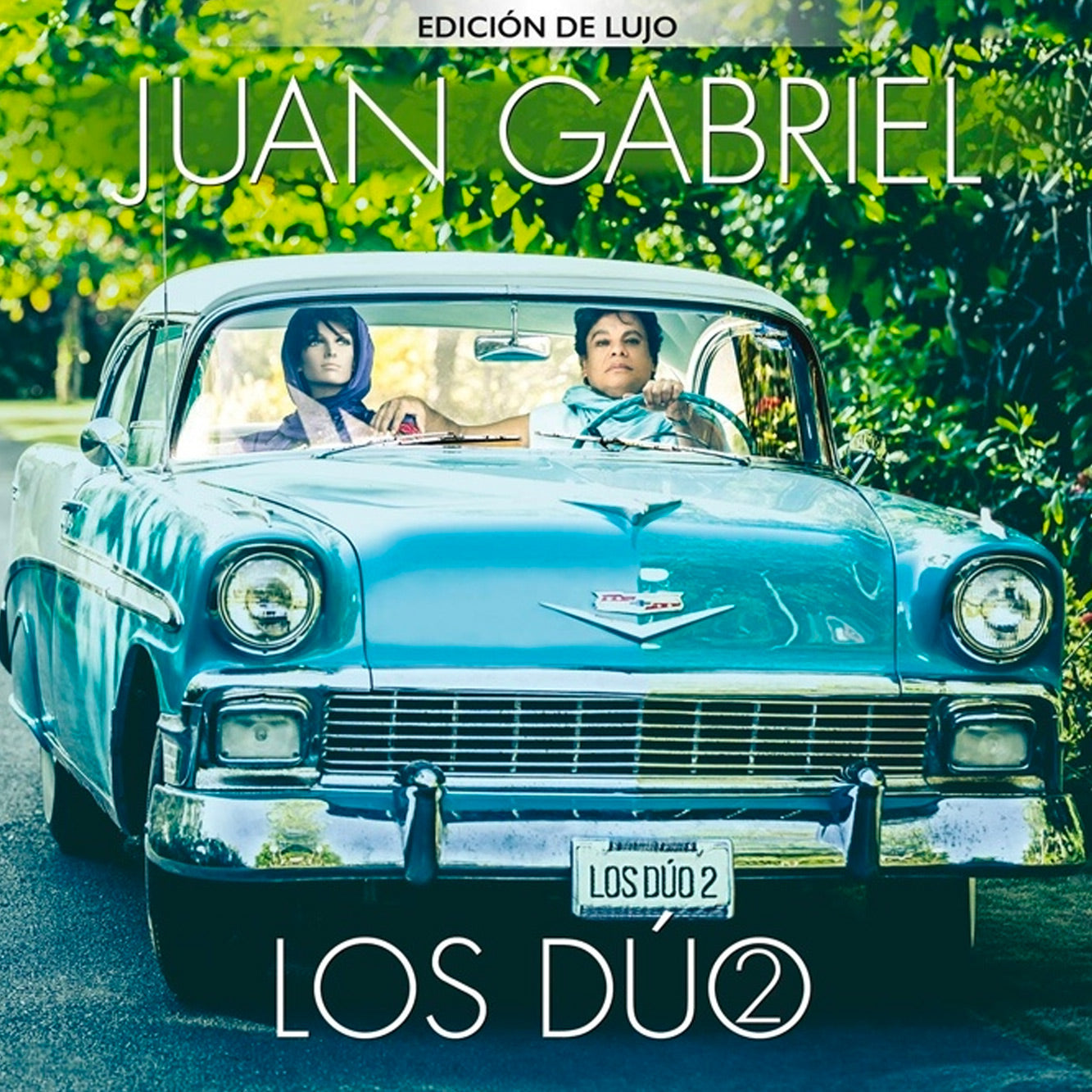 Juan Gabriel - Los Duo 2